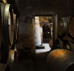 CHAIS-ARMAGNAC-CASTAREDE